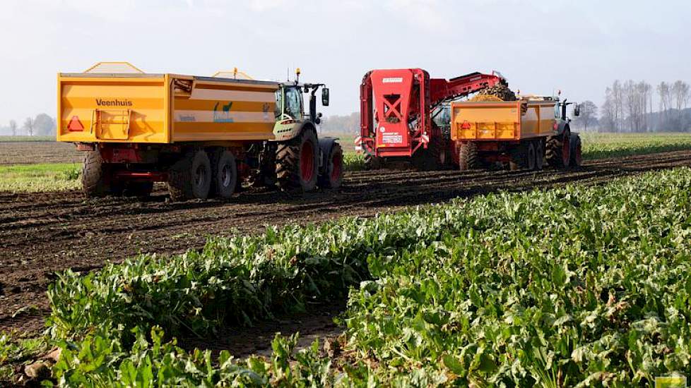 De verschillen tussen de hectareopbrengsten op het bedrijf van Sterenborg zijn groot, variërend van 60 tot 130 ton. „Een extreem verschil”, vindt ook medewerker Evert Hemssems. Deze zijn voor een deel te verklaren vanuit verstuiving in het voorjaar. Op de