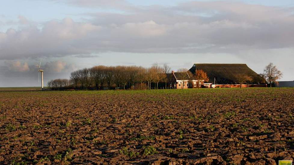 De zonnepanelen zijn niet de enige energiebron voor Bierema. Bij de boerderij staat een windmolen, een tweewieker met een ashoogte van 15 meter.