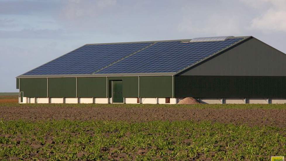 Op het dak liggen 500 zonnepanelen. Bierema kan dit aantal uitbreiden met maximaal 300 stuks.