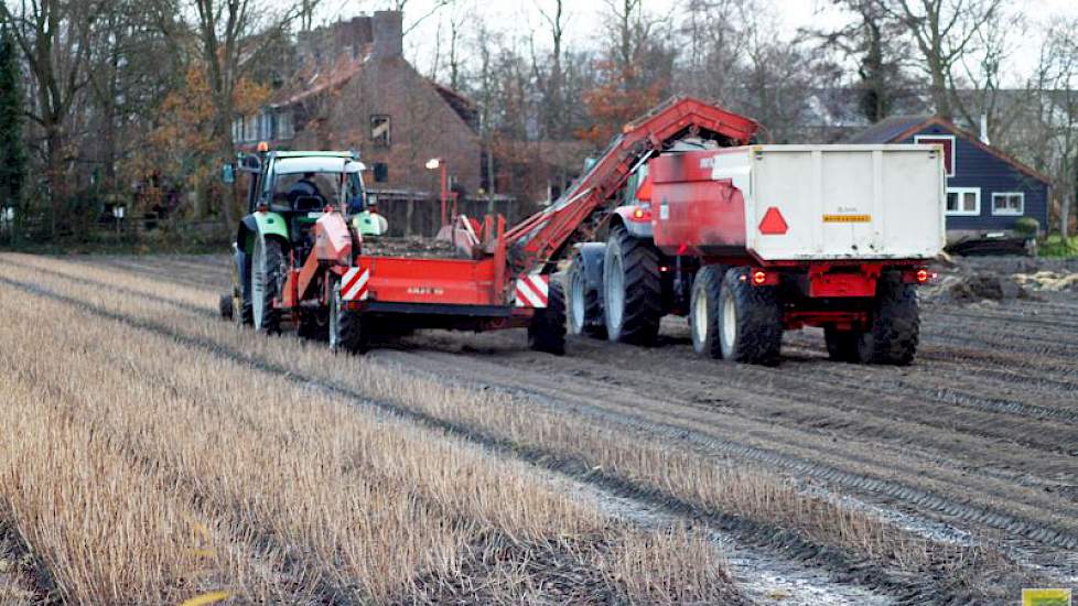 Het afgelopen jaar is tot nu toe niet meer dan redelijk verlopen, zo laat De Wit weten. „De groei van de lelies en bollen was niet beter dan normaal. En ook de prijs staat onder druk als gevolg van problemen met de export naar onder andere China.”