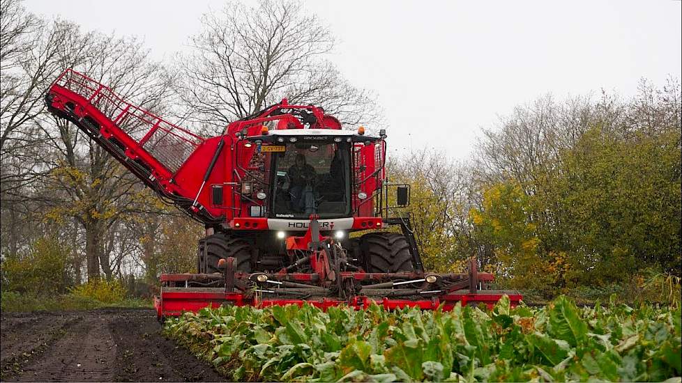 Bieten oogst met Hexx Traxx 12 rijer. Landb. loonb. Sandee Onstwedde.