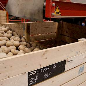 De Zeeuw en zijn medewerkers sorteren deze dagen pootgoed van het ras Carolus. De aardappelen worden na het sorteren tijdelijk bewaard in de koeling.