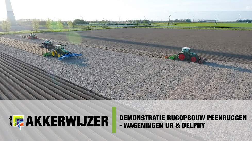 Demonstratie rugopbouw peenruggen - diverse opties en technieken