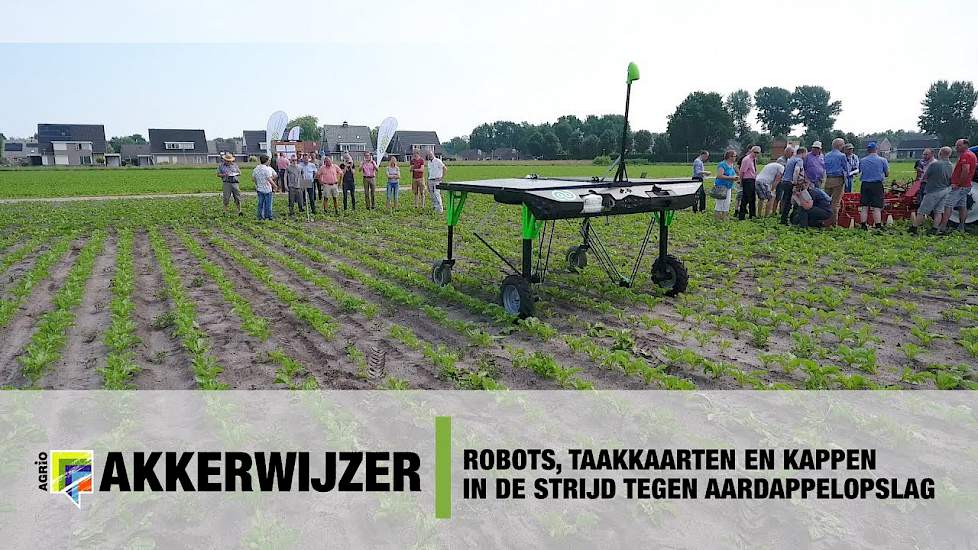 Robots, taakkaarten en kappen in de strijd tegen aardappelopslag