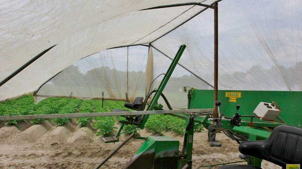 Ook als het waait bewijst de tent zijn dienst: „Het gewas staat meer stil onder de kap. Dat geeft een beter beeld.”