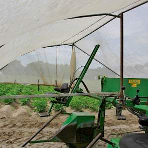 Ook als het waait bewijst de tent zijn dienst: „Het gewas staat meer stil onder de kap. Dat geeft een beter beeld.”