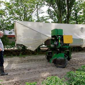 Giesen teelt in samenwerking met enkele collega’s in totaal 70 hectare pootgoed.