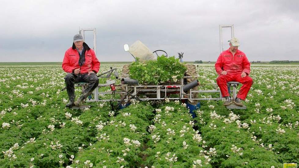 Klaas Jan (rode overall, witte pet) en zijn neef Klaas Hoff, die samen de maatschap vormen, telen in totaal 40 hectare pootgoed.