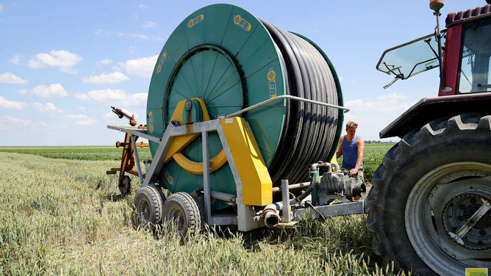 De regenhaspel is sinds 2006 in eigen bezit van de maatschap. Jan-Jaap: „Dit is pas het derde of vierde jaar dat we hem gebruiken. Liever doen we dit niet, want behalve vanwege het kostenplaatje en het extra werk, moet je ook voorkomen dat je de planten n