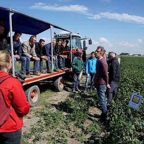 Bij de Robuuste Aardappelrassen draait alles om resistentie van de aardappelen tegen de aardappelziekte Phytophthora investans. Dit onderzoek ligt op het SPNA-bedrijf vanuit het Convenant Biologische Landbouw. Voor de biologische teelt zijn deze rassen ee