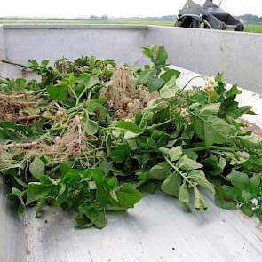 De bak voor de uitgeselecteerde planten is gemaakt van aluminium. Hiermee probeert de producent de kar zo licht mogelijk te houden.