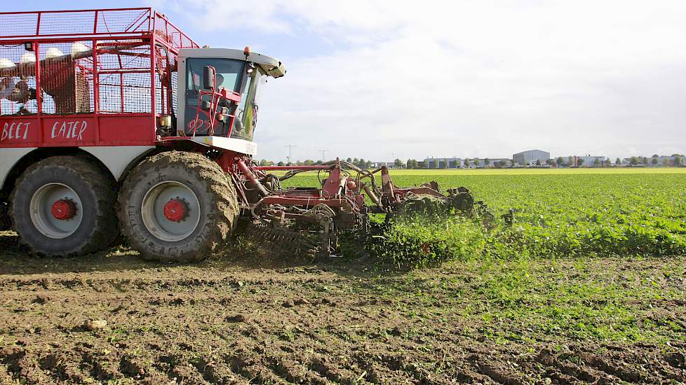 De suikerbieten van akkerbouwer Jan Romme uit Hooge Zwaluwe (NB) zijn op de eerste dag van oktober gerooid. De 10 hectare bieten met de  rassen BTS 5270 en BTS 2345 op een perceel in Waspik (NB) zijn 21 april gezaaid. De rooiklus is uitgevoerd in samenwer