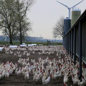 Henk Verwolf ervaart een andere cultuur in de agrarische sector. „In de bouwwereld is ’s middags na vijf uur iedereen vertrokken. Samen de schouders eronder en iets afmaken is in mijn nieuwe sector de standaard.”