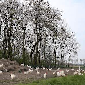 Biologisch was volgens Verwolf op de aangekochte locatie moeilijk te realiseren en het rendement was onvoldoende om de hogere investeringen te verantwoorden.