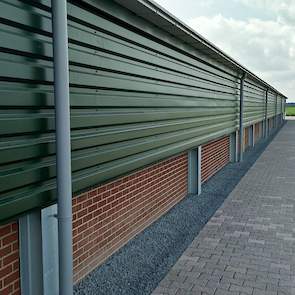 De muren van de nieuwe stal zijn gemaakt van prefab elementen. „De andere stal hebben we een aantal jaren geleden verlengd en toen hebben we ook voor prefab gekozen en dat is goed bevallen”, zegt André.