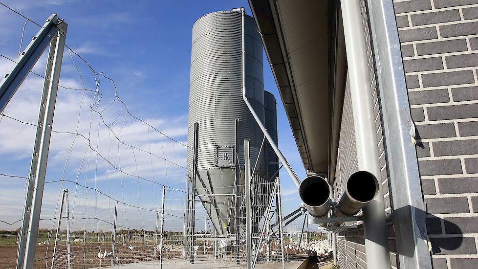 De pluimveehouders hergebruikten alleen de silo’s van de oude stallen. Voor de rest verwoestte de brand alles. „De silo’s zijn heet geworden bij de brand, maar nog wel bruikbaar. We hebben alleen de kunststof ontluchtingsbuizen vervangen.”