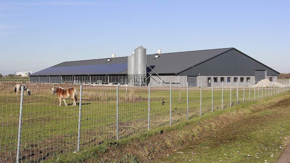 Beide stallen staan ver uit elkaar. Dat is voor de uitloop aan beide zijden, zodat in beide stallen makkelijk omgeschakeld worden naar vrije uitloop of biologisch. Ook maakt dat brandoverslag vrijwel onmogelijk, mocht er ooit brand ontstaan. Al hoopt de f