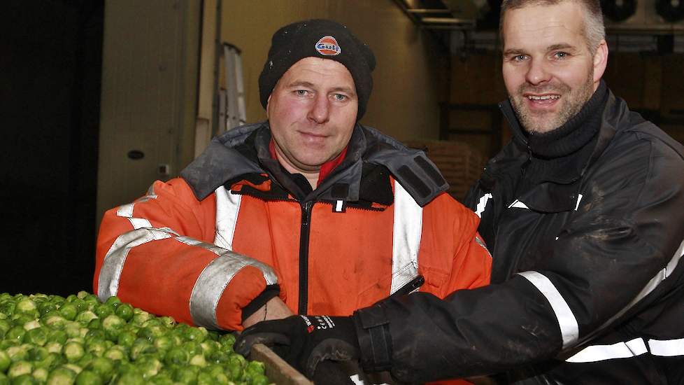 De gebroeders Henk en Johan Doff in Uithuizen (GR) zijn bijna klaar met de spruitenoogst van 2018-2019. Ze telen elk jaar rond de 100 hectare spruiten. Zo’n 8 tot 9 commerciële rassen en qua teelt van vroeg tot laat,”, aldus Johan.