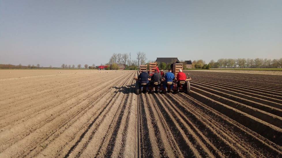 28 april: De grond is afgelopen november geploegd met een eco-ploeg op circa 16 cm. Hierdoor kwam de frees sneller in de vochtige ondergronden dan op normaal geploegd land. Bovenop was de grond wel droger.