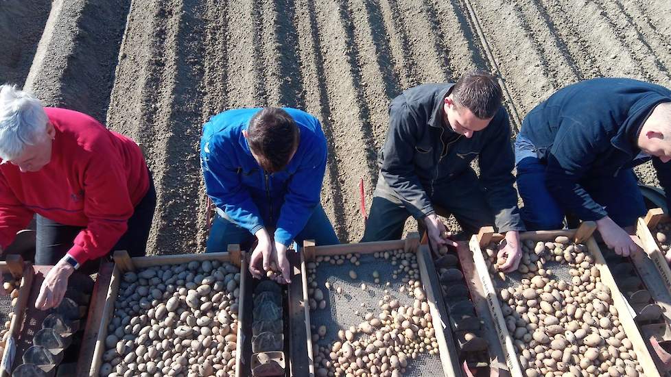 29 april: Op hetzelfde perceel zijn de Fontane-miniknollen gepoot met een oude pootlori. Deze bestaat uit twee samengevoegde Vicon-planters. Op de pootmachine: Froukje Maters, Nik Haveman, Klaasjan Huizinga en Marten Hoogeveen.