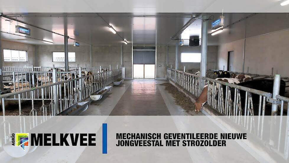 Mechanisch geventileerde nieuwe jongveestal met strozolder