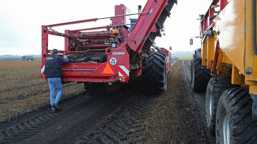 Wim Wuestenenk uit Creil (FL) rooit 60 ha lelies.