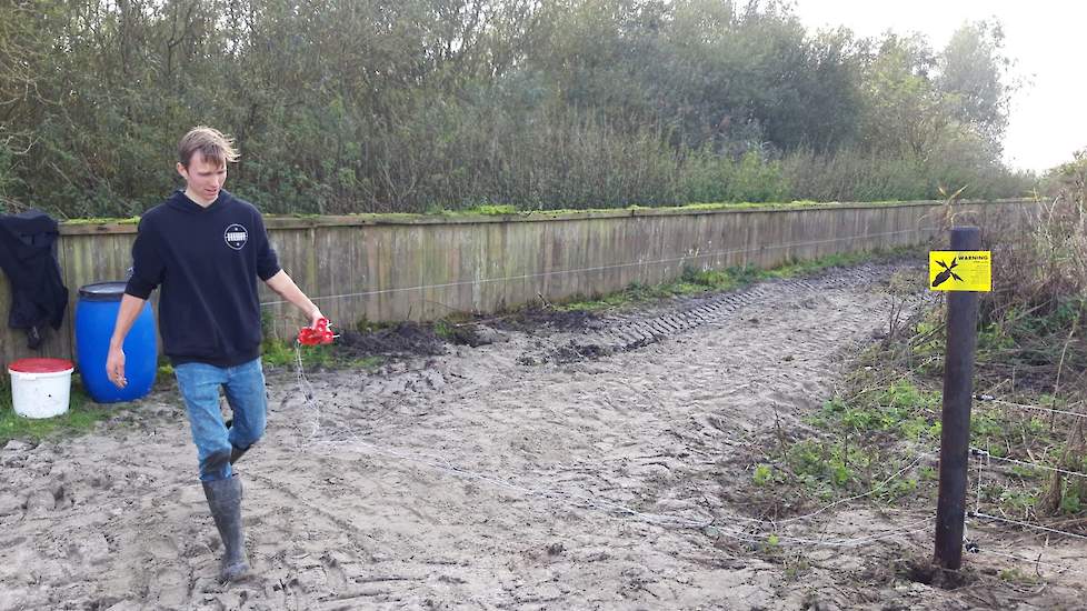 Naast het bijvoeren van de dieren, controleren de studenten ook of de dieren geen verwondingen hebben. „En we houden in de gaten of ze geen ontsnappingspogingen doen”, aldus Tack.