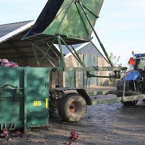 De volle kippers worden op het erf leeggestort in containers.