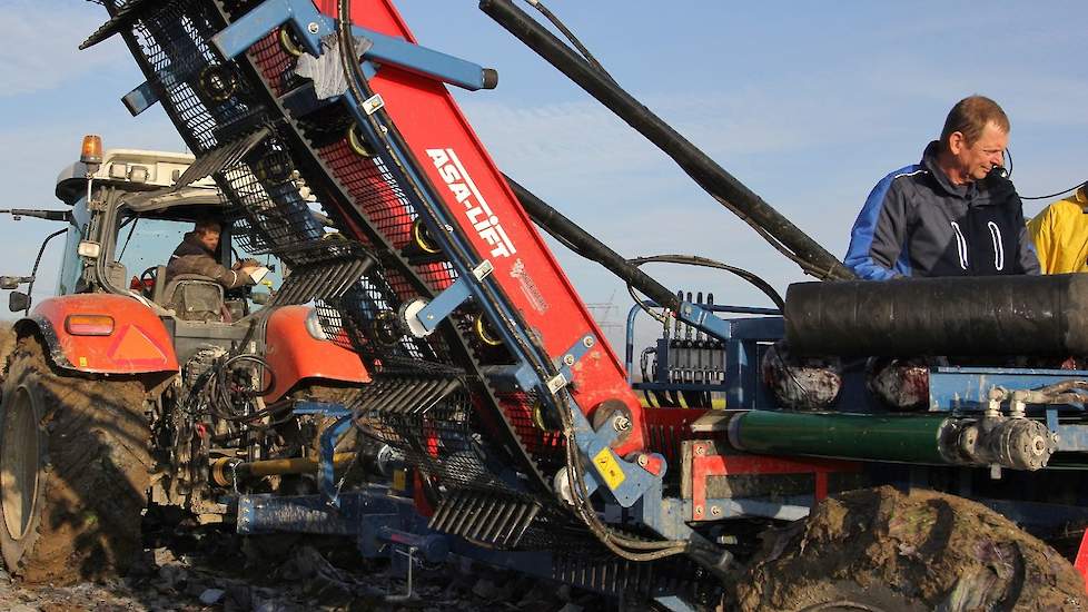 Dankzij de machinale oogst is het werk fysiek veel prettiger geworden. „Waar je voorheen de hele dag gebogen stond te snijden op het land, sta je nu rechtop achterop de machine.”