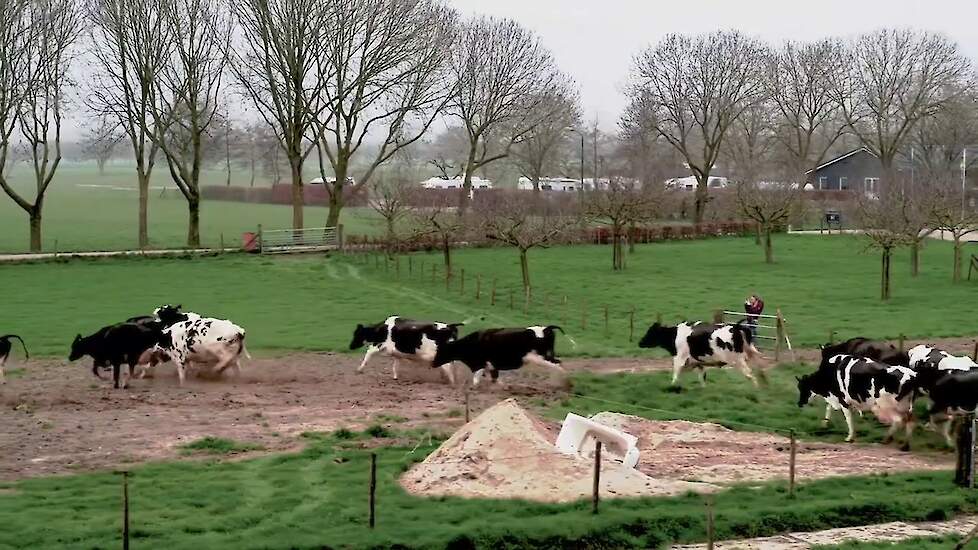 Opening boerenseizoen verloopt anders dan gepland