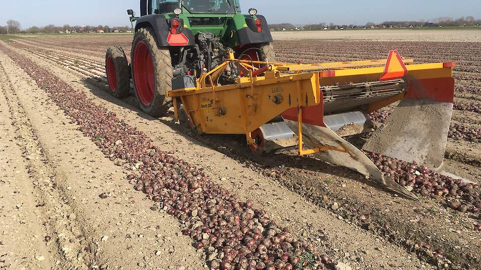 Met zijn Samon-rooier rooide hij de 4 hectare uien van een akkerbouwer uit de regio. De kwaliteit van de oogst was redelijk goed, zegt Van Regteren.„Er zijn weinig schot in.” De uien zijn na het rooien geladen en in kisten weggezet.