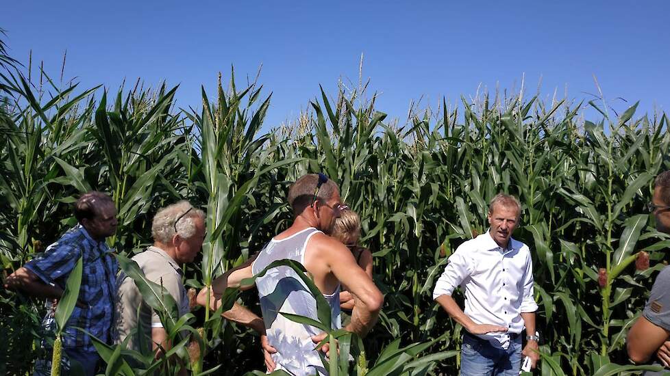 Aan het einde wordt er nog even aandacht besteed aan de verschillende maïsrassen. Het betreffen rassen met een FAO tussen de 160 en 220. Vroege tot zeer vroege rassen dus. Wijbenga meldt dat de FAO door de verschillende zaadleveranciers verschillend wordt