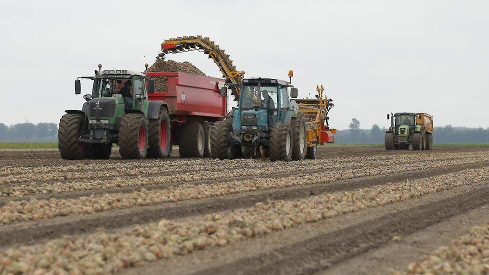 Fotoserie: Paar Vrachten Uien Laden Voor Zeeuwse Verpakker | Veld-post ...