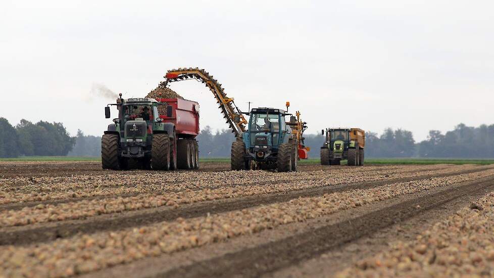 Blitterswijk heeft de uien af land verkocht voor een, naar eigen zeggen, redelijke prijs.