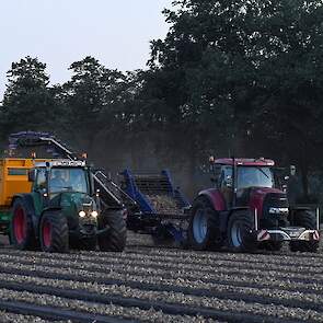 Haaijer teelt zijn uien deels vrij, deels op contract.