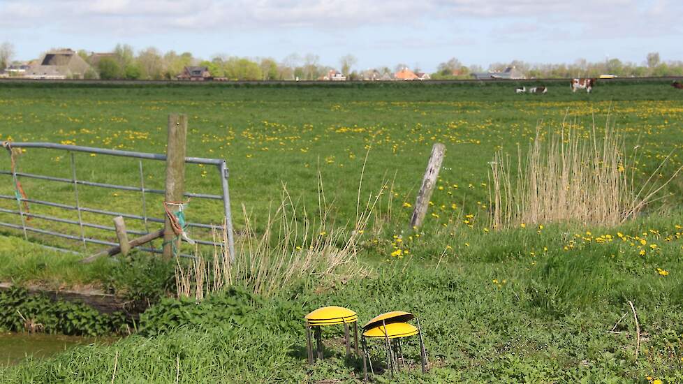 De gele nestbeschermers die vrijwilligers plaatsen als de loonwerker komt sleepslangen.