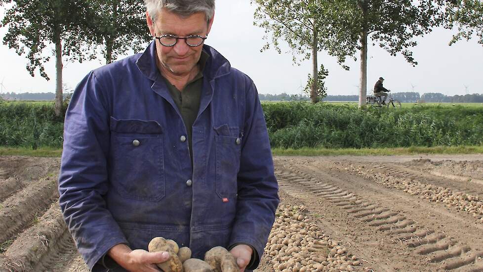 Ondanks de vele nattigheid in de zomer komen de aardappelen mooi uit de grond, zegt de akkerbouwer, die samen met zijn broer Chris het bedrijf runt. „In de spuitsporen heb ik nog wel last van kluiten. Die sporen zijn in de zomer kapotgereden.” Bos kan ber