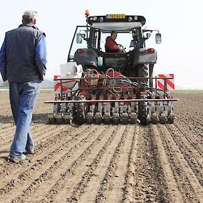 Op het stuk land van 20 hectare worden vijftig verschillende soorten uien ingezaaid.