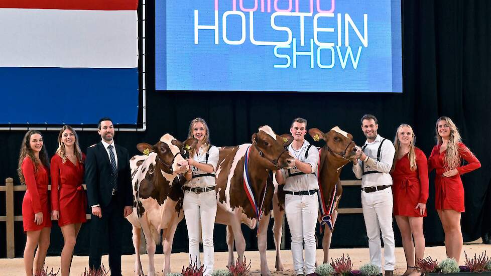 De roodbonte kampioenes bij de vaarzen. Van links naar rechts: Honorable Mention Drouner Mientje 1766 , reservekampioene Topcross Jaan 668 en kampioene P.M. Elza 241.