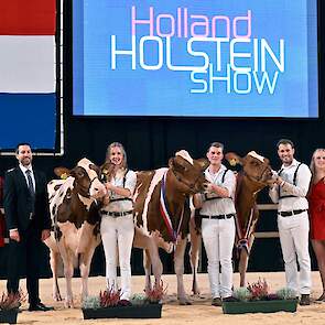 De roodbonte kampioenes bij de vaarzen. Van links naar rechts: Honorable Mention Drouner Mientje 1766 , reservekampioene Topcross Jaan 668 en kampioene P.M. Elza 241.