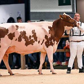 De derde plaats ging naar Twente Dairies Incredibull Mel van de familie Tijhuis uit Hooghalen. De grote, lange Incredibull-dochter had een bijzonder beste, hoog en breed aangehechte uier waarvoor ze de uierprijs kreeg in deze rubriek.