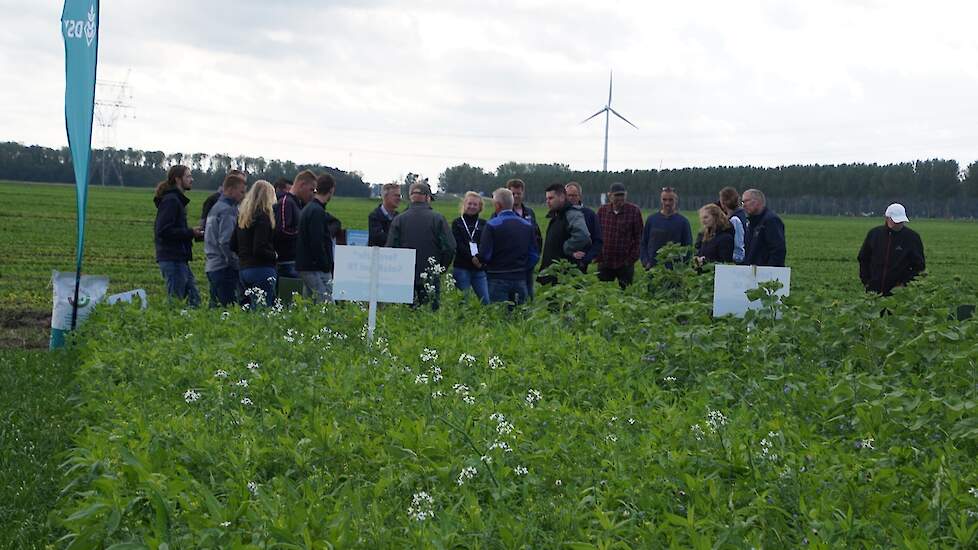 Uitleg in het veld door bedrijven en WUR.