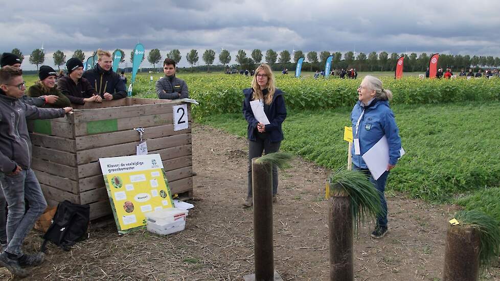 Koolstofvastleggen met verschillende typen zwenkgras.