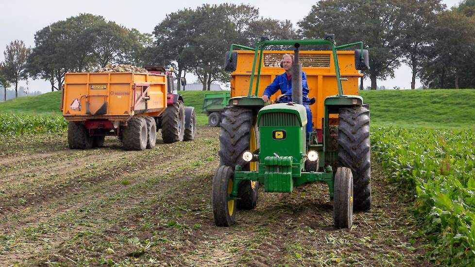 De maatschap teelt in totaal 9 hectare bieten. Daarnaast telen de ondernemers rode en gele uien, consumptie- en pootaardappelen, graan en veldbonen. Ook is er een tweede tak in de pluimveehouderij: 35.000 beter leven 1-ster kuikens.