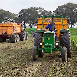 De maatschap teelt in totaal 9 hectare bieten. Daarnaast telen de ondernemers rode en gele uien, consumptie- en pootaardappelen, graan en veldbonen. Ook is er een tweede tak in de pluimveehouderij: 35.000 beter leven 1-ster kuikens.