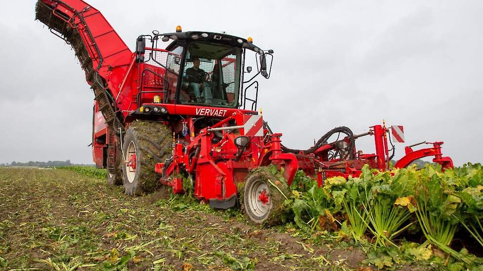 De bieten zijn gerooid door loonbedrijf Mechielsen uit Oldehove.