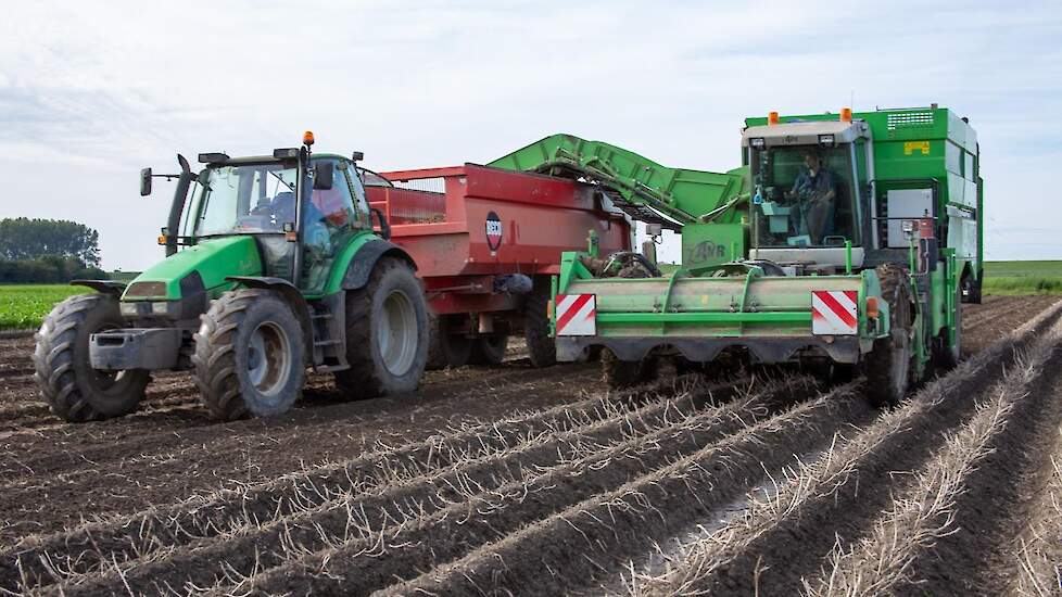 Abeos-uitzendkracht Fons van der Heijden transporteert de aardappels met trekker en kieper naar de boerderij. Op deze afstand rijdt de maatschap met vier kiepers.