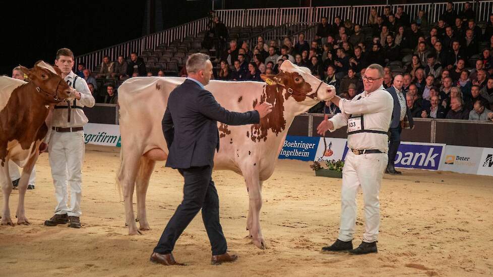 Het reservekampioenschap was voor Willems-Hoeve Jmw Applause 26.