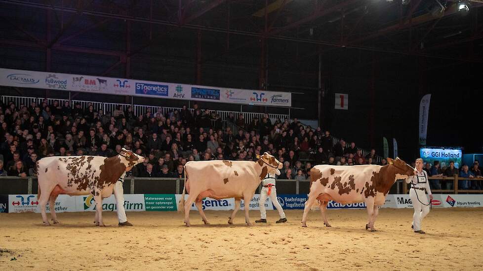 Op de derde plaats loopt Heerenbrink Dolly Rae van Steegink-Van den Berg. De Jordy-dochter is royaal ontwikkeld en bezit een best uier. Ze is een halfzus van Heerenbrink Dolly Olymp Rae 2, die de eervolle vermelding bij de vaarzen had.