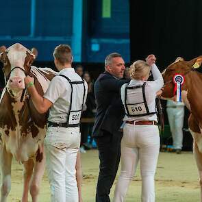 Twente Dairies Incredibull Mel wordt uitgeroepen tot middenklas kampioene.